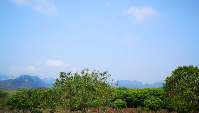 ที่ดินจัดสรรกาญจนบุรีราคาถูก พร้อมสวนผลไม้  ที่ดินกลางหุบเขาทองผาภูมิราคาถูก  ที่ดินแบ่งขายทองผาภูมิกาญจนบุรี