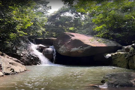 โครงการ Land ที่ดิน เกาะสมุย เกาะสมุย สุราษฎร์ธานี