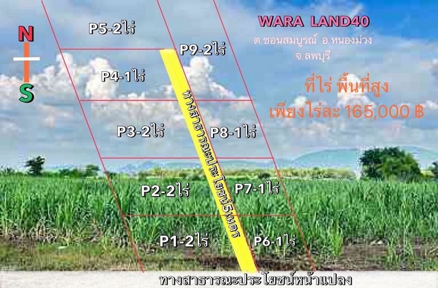 ขายที่ดินแบ่งเริ่ม1ไร่ 165,000บ.ต.ชอนสมบรูณ์ อ.หนองม่วง ลพบุรี