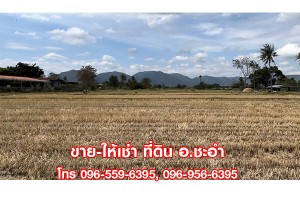 ขาย,ที่ดิน,ขาย ให้เช่า ที่ดินเปล่า ชะอำ เพชรบุรี 3 ไร่ ที่สวย ใกล้หัวหิน,ขาย ให้เช่า ที่ดินเปล่า ชะอำ เพชรบุรี 3 ไร่ ที่สวย ใกล้หัวหิน,มือสอง,ซอยบ่อแขม,บ่อแขม ชะอำ,ที่ดินเปล่า