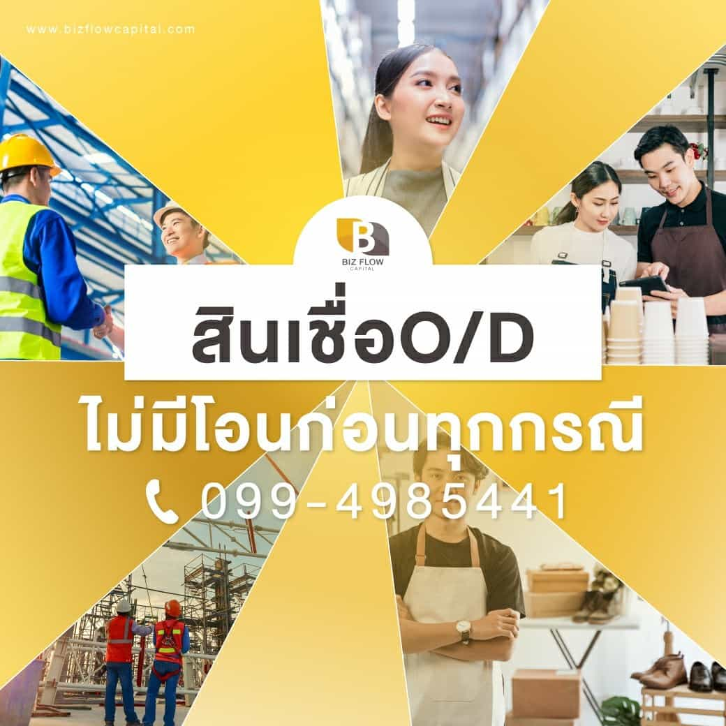 bizflowcapital สินเชื่อสำหรับธุรกิจ