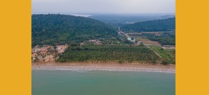 ขายที่ดินชุมพรติดทะเลอ่าวทุ่งมะขาม เงียบสงบ หาดขาวสะอาด น้ำไฟพร้อม ติดถนนสาธารณะ หาดขาวสะอาด ใกล้แหล่งท่องเที่ยว