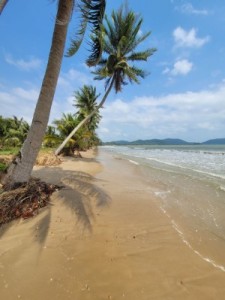 ขายที่ดินชุมพรติดทะเลอ่าวทุ่งมะขาม เงียบสงบ หาดขาวสะอาด น้ำไฟพร้อม ติดถนนสาธารณะ หาดขาวสะอาด ใกล้แหล่งท่องเที่ยว