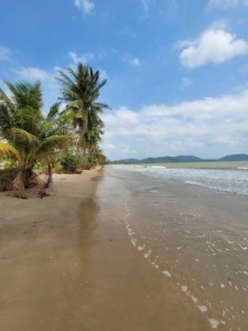 ขายที่ดินชุมพรติดทะเลอ่าวทุ่งมะขาม เงียบสงบ หาดขาวสะอาด น้ำไฟพร้อม ติดถนนสาธารณะ หาดขาวสะอาด ใกล้แหล่งท่องเที่ยว