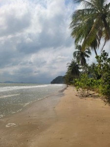 ขายที่ดินชุมพรติดทะเลอ่าวทุ่งมะขาม เงียบสงบ หาดขาวสะอาด น้ำไฟพร้อม ติดถนนสาธารณะ หาดขาวสะอาด ใกล้แหล่งท่องเที่ยว