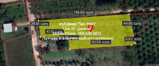 ขายที่ดินสวนเกษตร (ยาง+มะพร้าว) ต.ชัยบุรี อ.เมืองพัทลุง 7-1-88 ไร
