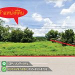 ขายที่ดิน 1 ไร่ 2 งาน 96 ตรว ต.ศรีดอนมูล อ.เชียงแสน จ.เชียงราย