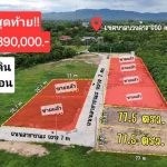 ขายที่ดิน77.5ว. 350,000บ. สาธารณูปโภค บวกค้าง สันกำแพง เชียงใหม่