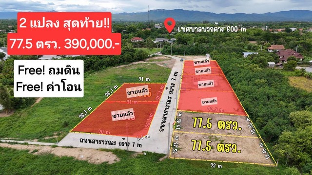 ขายที่ดิน77.5ว. 350,000บ. สาธารณูปโภค บวกค้าง สันกำแพง เชียงใหม่