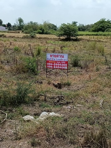 ที่ดินเปล่า หนองอ้อ อำเภอบ้านโป่ง ราชบุรี