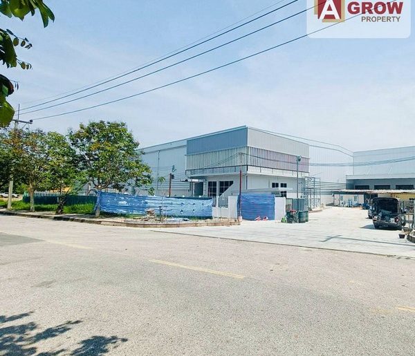 โรงงานให้เช่า ศรีราชา พื้นที่ 5,100 ตร.ม. สีม่วงเข้มสามารถทำการผล