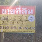 ขายที่ดินทำเลดี ติดแม่น้ำน่าน 6-2-78 ไร่ ดอนทอง พิษณุโลก