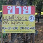 ขายที่นา ติดคลองชลประทาน 3-3-0 ไร่ บ้านกร่าง เมืองพิษณุโลก
