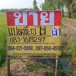 ขายที่นา 13-2-26 ไร่ ติดคลองชลประทาน บ้านกร่าง เมืองพิษณุโลก