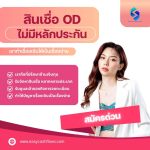 สินเชื่อเพื่อธุรกิจไม่ใช้หลักทรัพย์ค้ำประกัน สินเชื่อ sme เพื่อเจ้าของธุรกิจ