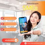 สินเชื่อธุรกิจ sme ไม่ใช้หลักทรัพย์ค้ำประกัน สินเชื่อ sme เพื่อเจ้าของธุรกิจ