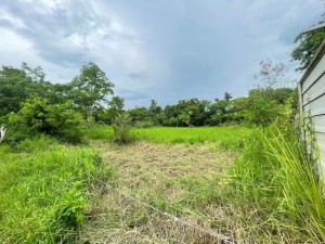 ขาย,ประกาศขายที่ดิน,ที่ดินเปล่าสันกำแพง เชียงใหม่,ที่ดินเปล่าสันกำแพง เชียงใหม่,รูปแปลงสี่เหลี่ยมสวย,สันกำแพง,บ้านสันไร่,ติดถนนสาธารณะ
