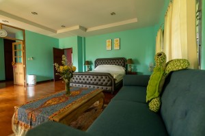 เซ้ง,Single house-Twin house,Single House, San Sai, additional houses, large land, quite area,Single House, San Sai, additional houses, large land, quite area,serene, quite neighborhood, close to Majo University ,1001,Nong Han, San Sai, Chiang Mai,Large land with 3 building, 6 bedrooms, 6 bathrooms, well priced