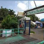 ขายอพาร์ตเม้นต์พร้อมที่ดิน 3ไร่ ติดคลองวัดสิงห์