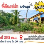 ที่ดินเปล่า ซอย วีรศักดิ์ราษฎร์พัฒนา ต.เขาเจียก อ.เมือง จ.พัทลุง