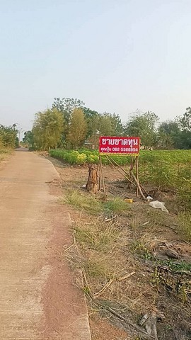 ขายที่ดินตำบลกลอนโดอำเภอด่านมะขามเตี้ย ที่ดินวิวภูเขา