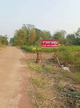 ขายที่ดินตำบลกลอนโดอำเภอด่านมะขามเตี้ย ที่ดินวิวภูเขา