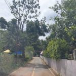 ที่ดินพร้อมบ้านพักอาศัย 7 ไร่ เขาใหญ่ ร่มรื่นเป็นส่วนตัว