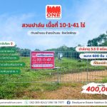 ที่ดินสวนปาล์มพร้อมเก็บเกี่ยว สร้างรายได้ทันที ป่าบอน