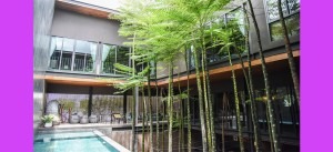 บ้านหลังใหญ่หรูใกล้เลียบด่วนรามอินทรา ซีดีซี และ คริสตัลพาร์ค 位于拉抛黄金地段 บ้านเดี่ยวหรูใจกลาง กรุงเทพฯ ลาดพร้าว Luxury Single House in Ladprao – Nak Niwat, near Expressway