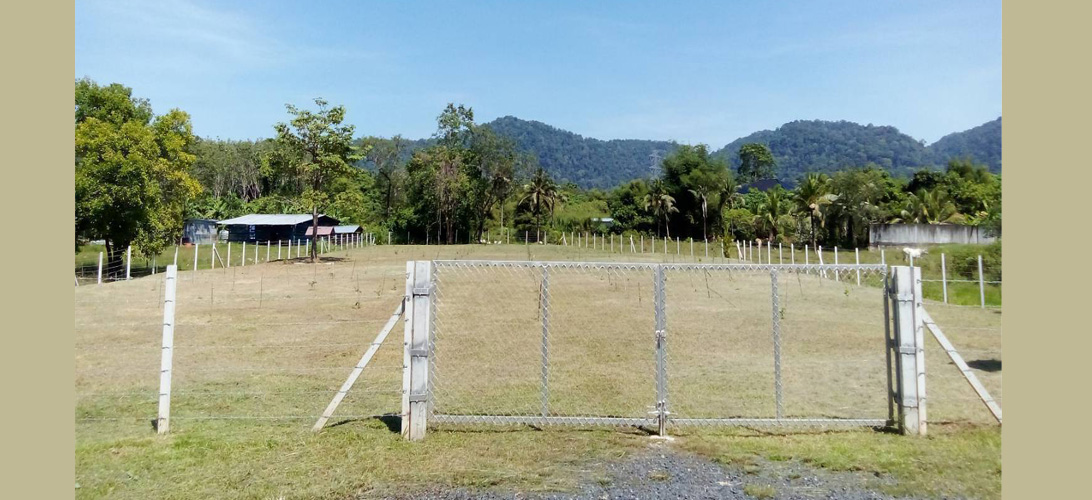 ที่ดิน ขาย ที่ดินบ้านควนถลาง ภูเก็ต เหมาะจัดสรรแบ่งขาย