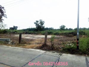 ที่ดิน ขาย โครงการเชิงพาณิชย์ เหมาะทำหมู่บ้านจัดสรร ขายถูก เหมาะจัดสรรแบ่งขาย, ที่ดินธัญบุรีคลอง6,หรือปทุมธานี