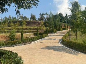 ขาย ที่ดิน Durian-Farm-Investment-Chanthaburi- CheaperthanOthersbyMillions- 泰国榴莲果园投资 泰国尖竹汶府榴莲果园投资立即 ลงทุนทุนสวนเรียน-จันทบุรี-รับรายได้ทันทีจากผลผลิต