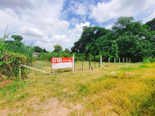 ขาย ที่ดิน เหมาะสร้างบ้านอพาร์ตเมนต์หอพัก บ้านป่าพร้าวนอกซอย6วงแหวนรอบ1 ใกล้ทั้งเมืองสนามบินและศูนย์การค้า ยินดีรับนายหน้า เหมาะสร้างบ้านเช่าทำออฟฟิศ