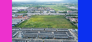 ขาย ที่ดิน ติดถนน344 เหมาะทำหมู่บ้าน ใกล้โลตัสบ้านบึง ที่ดินชลบุรี30ไร่ ราคาถูกสุด