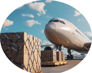 บริการ ประกาศ เคลียร์สินค้านำเข้า ชิปปิ้งมืออาชีพ สินค้าทางอากาศ DHL,FedEx,UPS ผ่านศุลกากรเร็วขึ้น